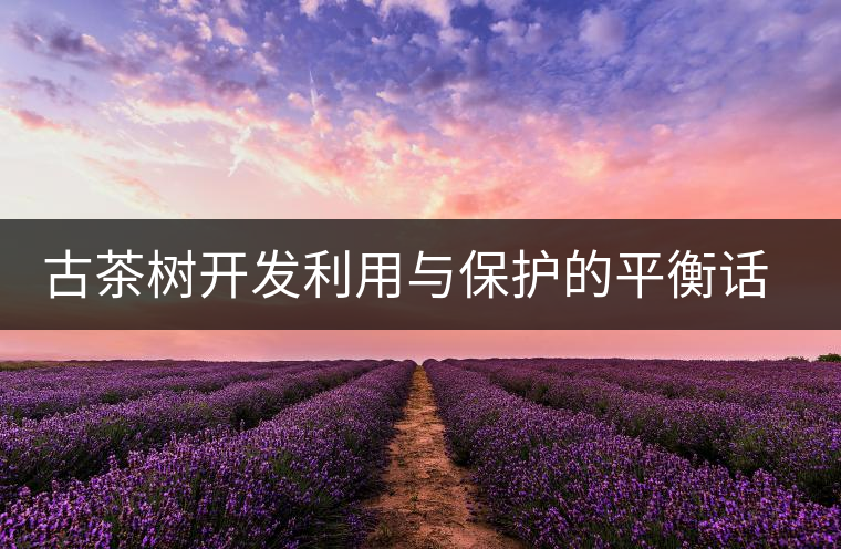 古茶樹(shù)開(kāi)發(fā)利用與保護(hù)的平衡話題再次引人關(guān)注