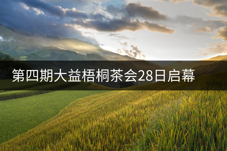 第四期大益梧桐茶會28日啟幕 益友共聚昆明植物園閑聊茶與禪 第四期大益梧桐茶會28日啟幕 益友共聚昆明植物園閑聊茶與禪