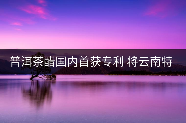 普洱茶醋國內首獲專利 將云南特色推往全國各地 普洱茶醋國內首獲專利 將云南特色推往全國各地