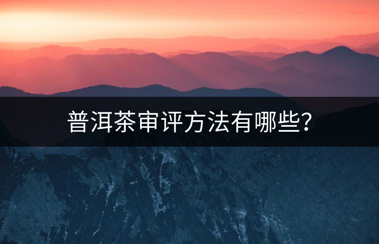普洱茶審評方法有哪些？
