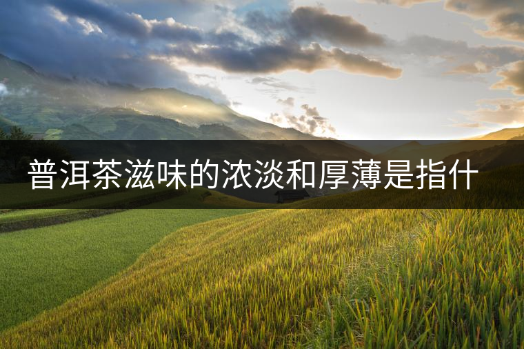 普洱茶滋味的濃淡和厚薄是指什么 普洱茶滋味的濃淡和厚薄是指什么
