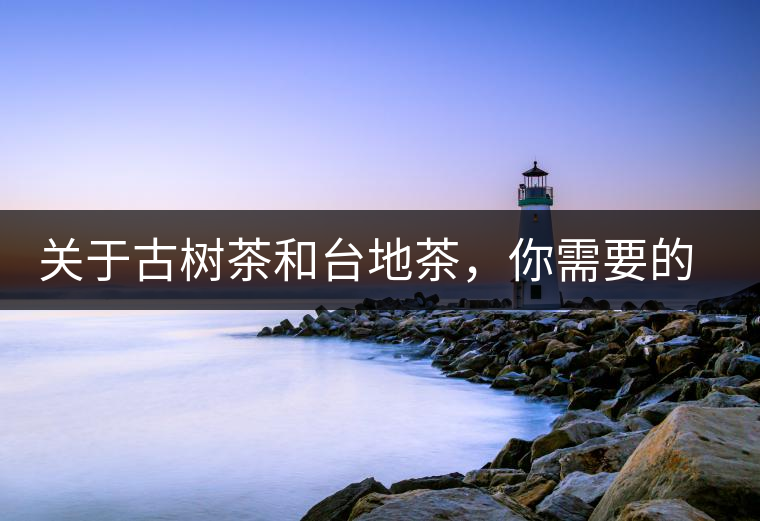 關(guān)于古樹茶和臺(tái)地茶，你需要的知識(shí)全在這里了