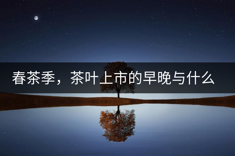 春茶季，茶葉上市的早晚與什么有關(guān)