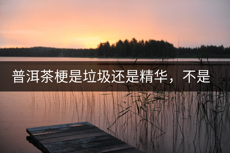 普洱茶梗是垃圾還是精華，不是一個(gè)人說的算