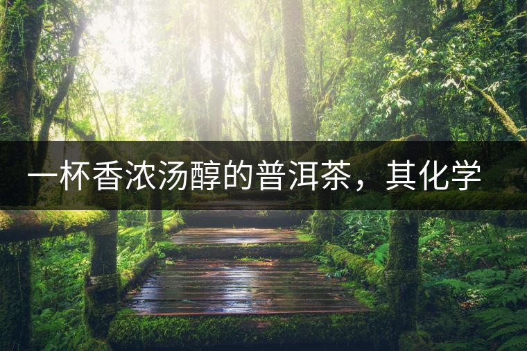 一杯香濃湯醇的普洱茶，其化學(xué)成分是怎樣的？