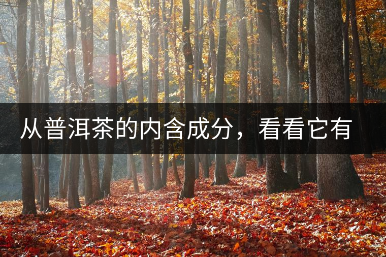 從普洱茶的內(nèi)含成分，看看它有什么功效？