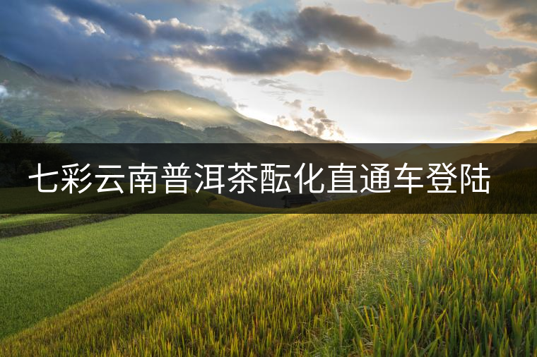 七彩云南普洱茶醞化直通車登陸山東 七彩云南普洱茶醞化直通車登陸山東