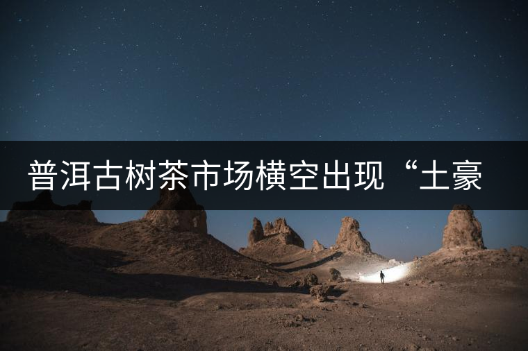 普洱古樹茶市場(chǎng)橫空出現(xiàn)“土豪”品牌 普洱古樹茶市場(chǎng)橫空出現(xiàn)“土豪”品牌