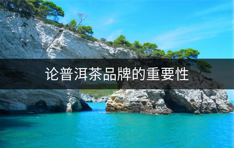 論普洱茶品牌的重要性 論普洱茶品牌的重要性