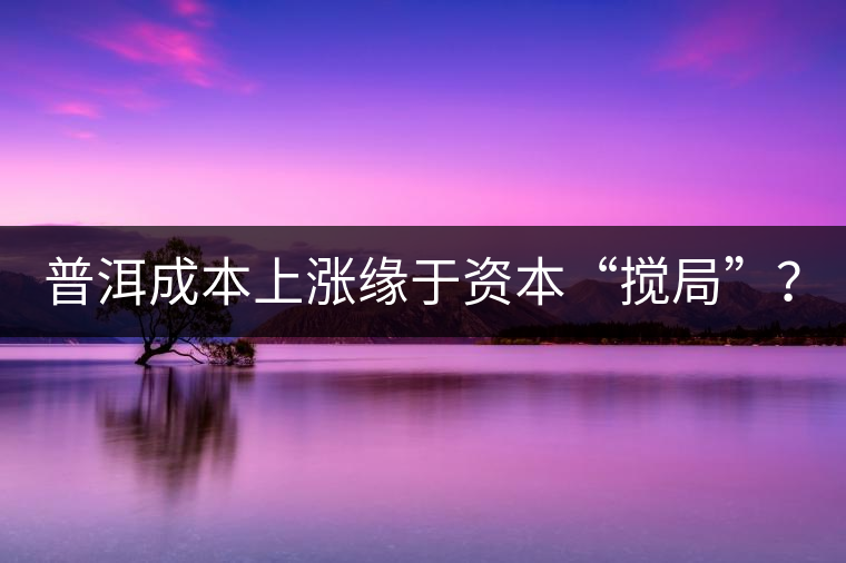 普洱成本上漲緣于資本“攪局”? 普洱成本上漲緣于資本“攪局”?