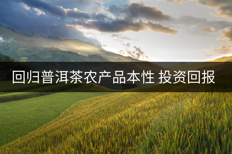 回歸普洱茶農(nóng)產(chǎn)品本性 投資回報(bào)率“馬上合乎心意” 回歸普洱茶農(nóng)產(chǎn)品本性 投資回報(bào)率“馬上合乎心意”
