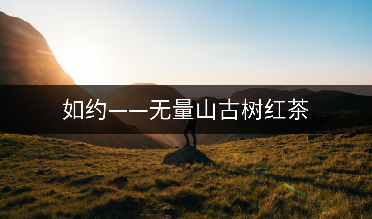 如約——無(wú)量山古樹紅茶