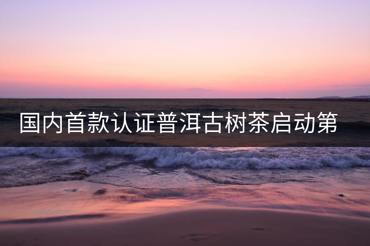 國內(nèi)首款認證普洱古樹茶啟動第二期掛牌發(fā)售 國內(nèi)首款認證普洱古樹茶啟動第二期掛牌發(fā)售