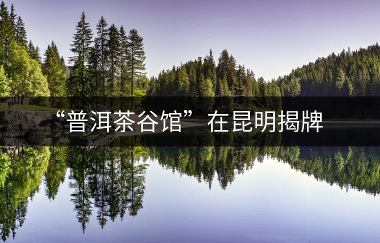 “普洱茶谷館”在昆明揭牌 “普洱茶谷館”在昆明揭牌