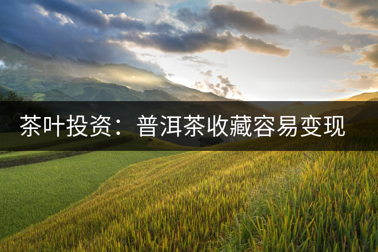 茶葉投資:普洱茶收藏容易變現難 茶葉投資:普洱茶收藏容易變現難
