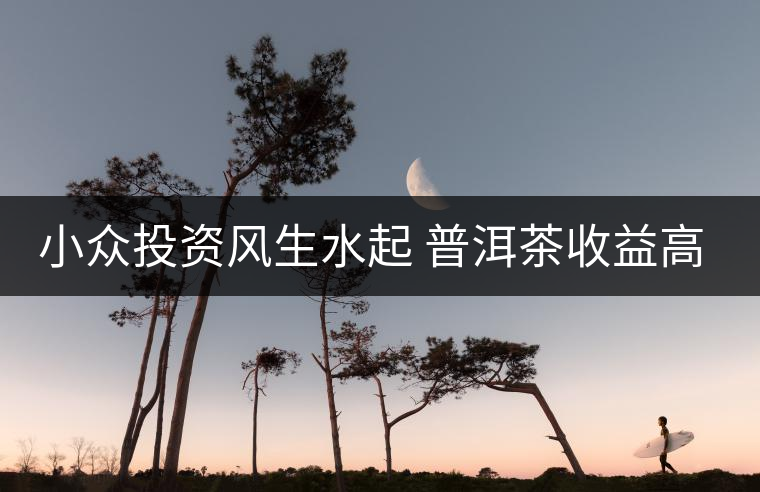 小眾投資風(fēng)生水起 普洱茶收益高但伴有風(fēng)險(xiǎn) 小眾投資風(fēng)生水起 普洱茶收益高但伴有風(fēng)險(xiǎn)
