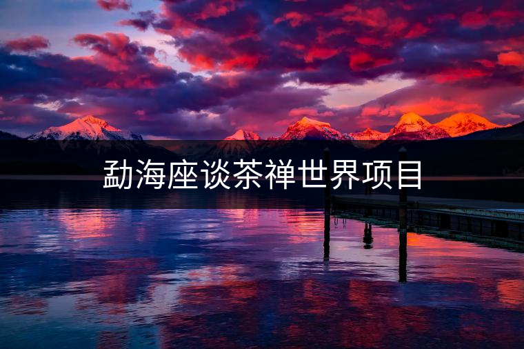 勐海座談茶禪世界項目 勐海座談茶禪世界項目