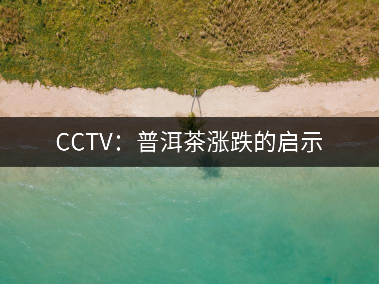CCTV:普洱茶漲跌的啟示 CCTV:普洱茶漲跌的啟示