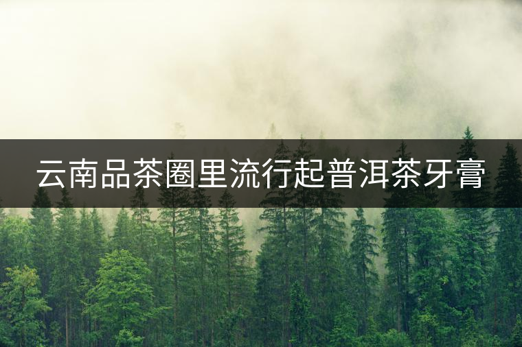 云南品茶圈里流行起普洱茶牙膏