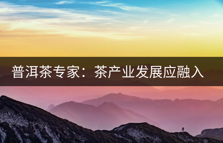 普洱茶專家:茶產(chǎn)業(yè)發(fā)展應融入“大健康”理念 普洱茶專家:茶產(chǎn)業(yè)發(fā)展應融入“大健康”理念