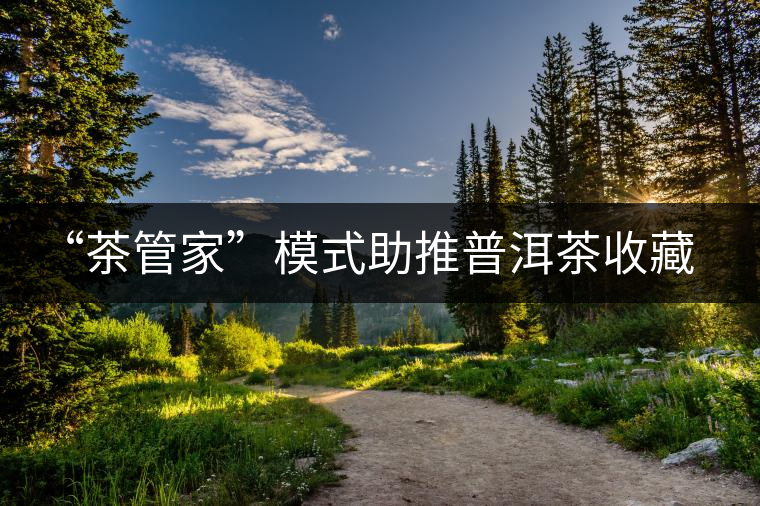“茶管家”模式助推普洱茶收藏之風 “茶管家”模式助推普洱茶收藏之風