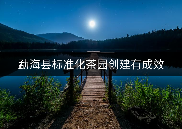 勐海縣標(biāo)準(zhǔn)化茶園創(chuàng)建有成效 勐海縣標(biāo)準(zhǔn)化茶園創(chuàng)建有成效