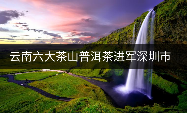 云南六大茶山普洱茶進(jìn)軍深圳市場(chǎng) 云南六大茶山普洱茶進(jìn)軍深圳市場(chǎng)
