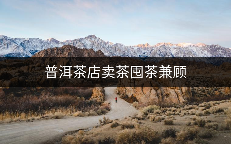 普洱茶店賣(mài)茶囤茶兼顧 普洱茶店賣(mài)茶囤茶兼顧