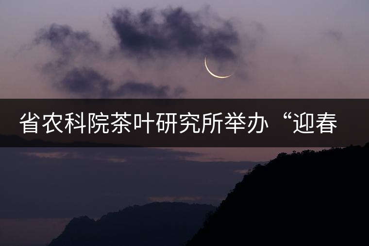 省農(nóng)科院茶葉研究所舉辦“迎春節(jié)、慶元旦”籃球聯(lián)誼賽