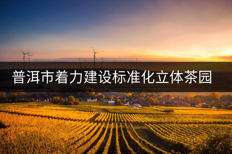 普洱市著力建設(shè)標(biāo)準(zhǔn)化立體茶園示范區(qū)