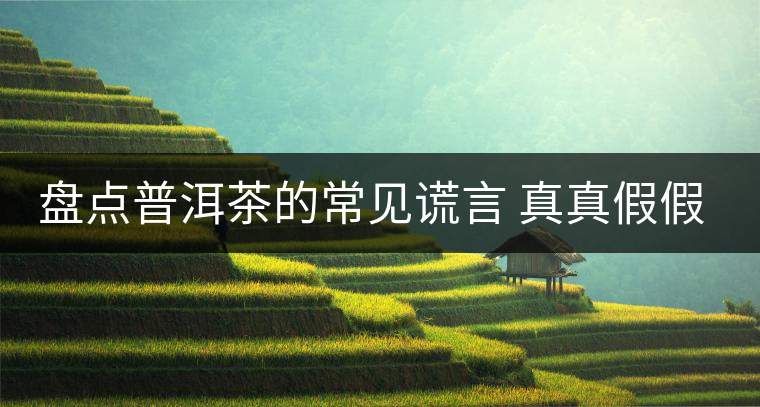 盤點普洱茶的常見謊言 真真假假 看看你認可幾條？