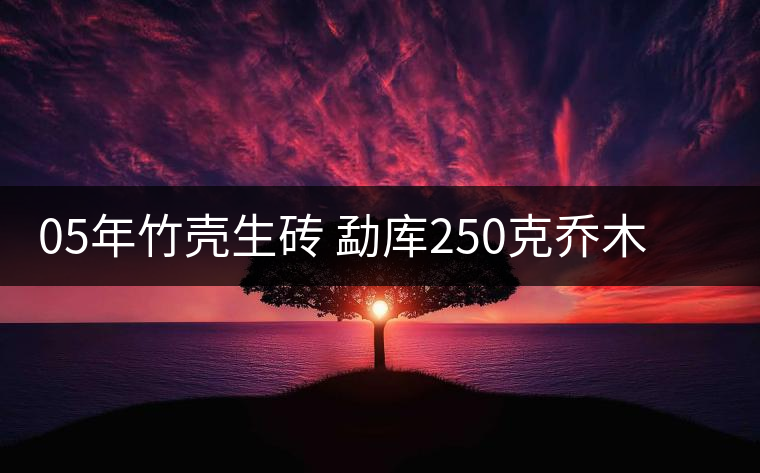 05年竹殼生磚 勐庫(kù)250克喬木生磚兩片裝 05年竹殼生磚 勐庫(kù)250克喬木生磚兩片裝