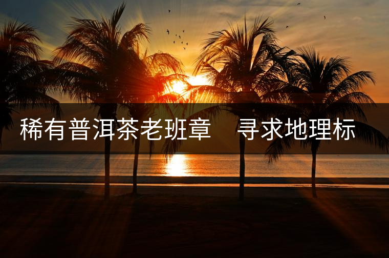 稀有普洱茶老班章 尋求地理標志保護 稀有普洱茶老班章 尋求地理標志保護