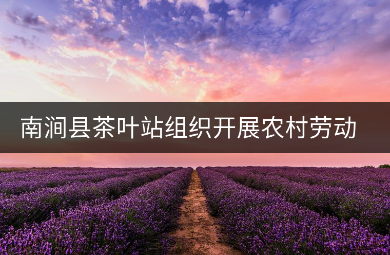 南澗縣茶葉站組織開展農(nóng)村勞動(dòng)力轉(zhuǎn)移培訓(xùn) 南澗縣茶葉站組織開展農(nóng)村勞動(dòng)力轉(zhuǎn)移培訓(xùn)