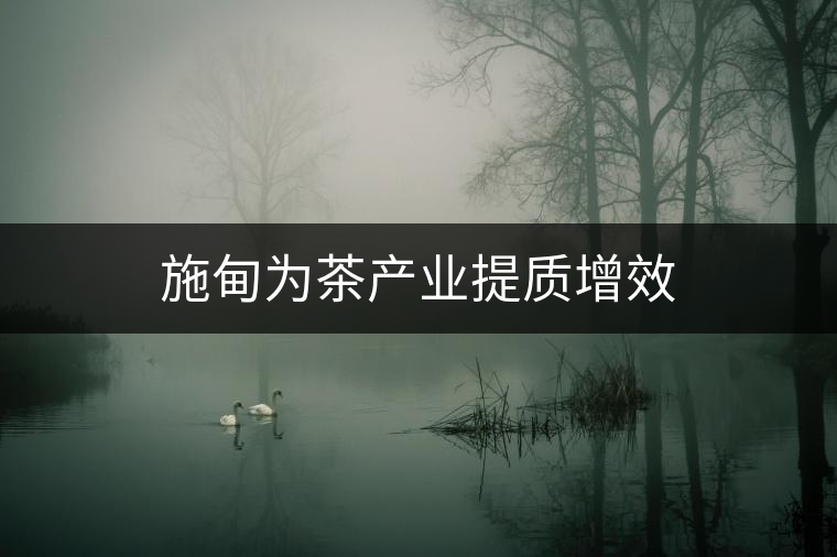 施甸為茶產(chǎn)業(yè)提質(zhì)增效 施甸為茶產(chǎn)業(yè)提質(zhì)增效