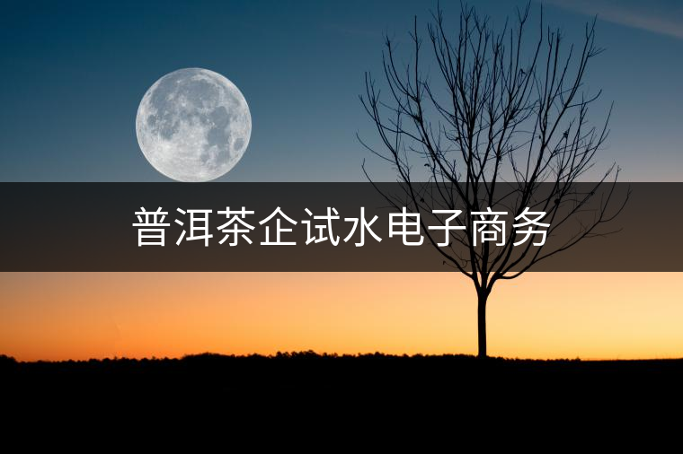 普洱茶企試水電子商務(wù) 普洱茶企試水電子商務(wù)