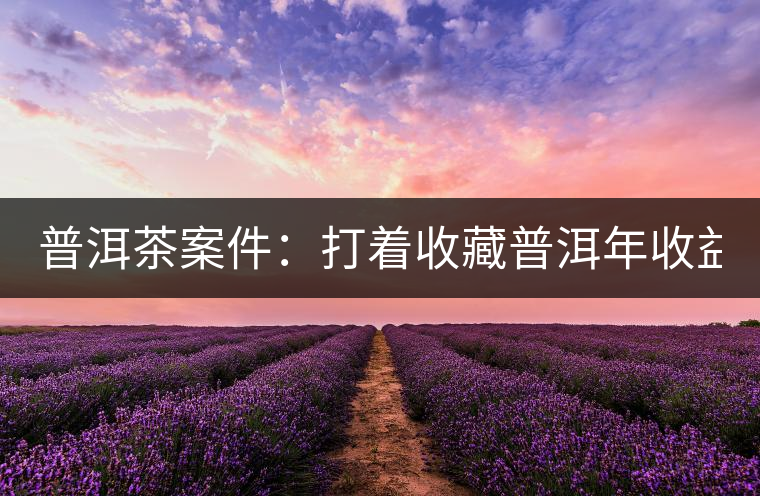 普洱茶案件：打著收藏普洱年收益不低于16%，非法吸收公眾存款