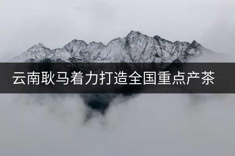 云南耿馬著力打造全國(guó)重點(diǎn)產(chǎn)茶縣 云南耿馬著力打造全國(guó)重點(diǎn)產(chǎn)茶縣