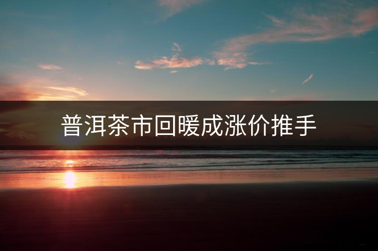 普洱茶市回暖成漲價(jià)推手 普洱茶市回暖成漲價(jià)推手