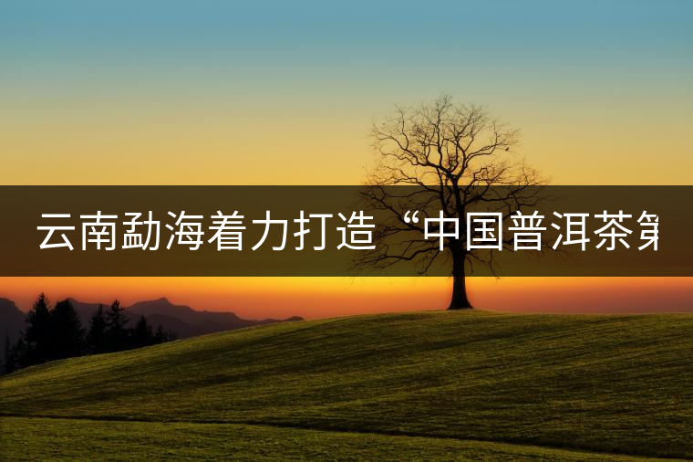 云南勐海著力打造“中國普洱茶第一縣” 云南勐海著力打造“中國普洱茶第一縣”