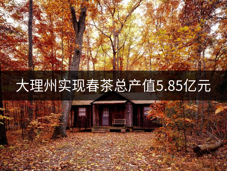 大理州實現(xiàn)春茶總產(chǎn)值5.85億元