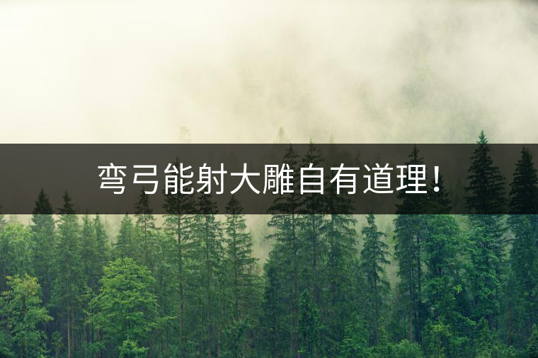 彎弓能射大雕自有道理！