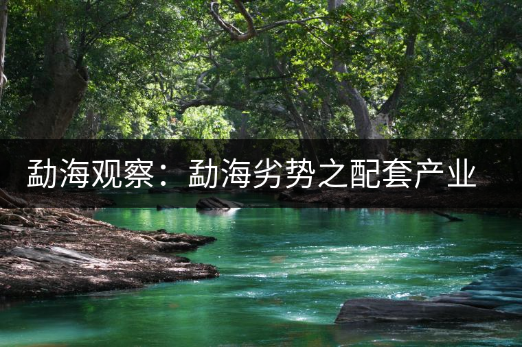 勐海觀察:勐海劣勢之配套產(chǎn)業(yè)篇 勐海觀察:勐海劣勢之配套產(chǎn)業(yè)篇