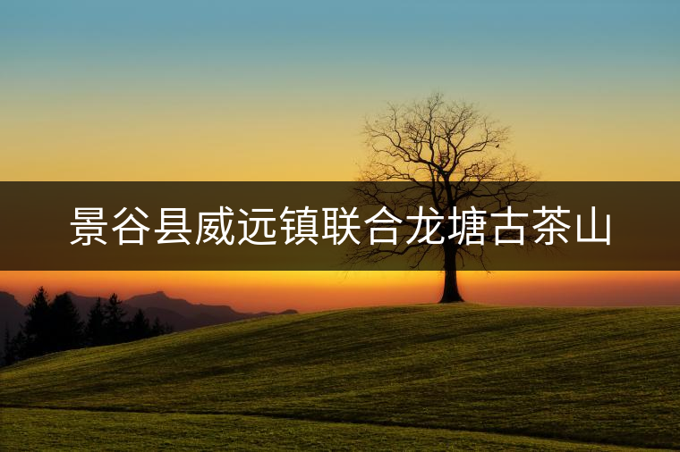景谷縣威遠鎮(zhèn)聯(lián)合龍?zhí)凉挪枭? alt=