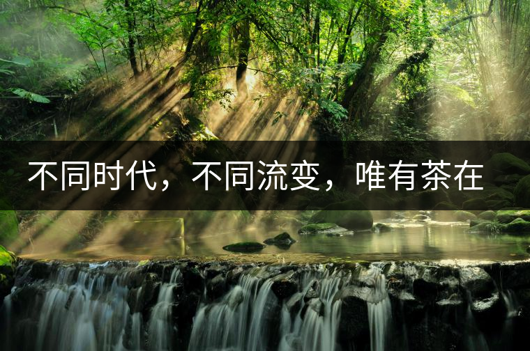 不同時代，不同流變，唯有茶在傳承