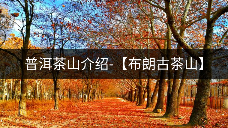 普洱茶山介紹-【布朗古茶山】 普洱茶山介紹-【布朗古茶山】