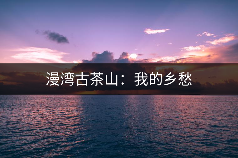 漫灣古茶山:我的鄉(xiāng)愁 漫灣古茶山:我的鄉(xiāng)愁
