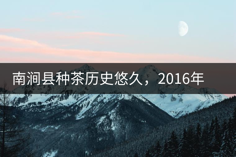 南澗縣種茶歷史悠久，2016年被評為全國十大生態(tài)產(chǎn)茶縣