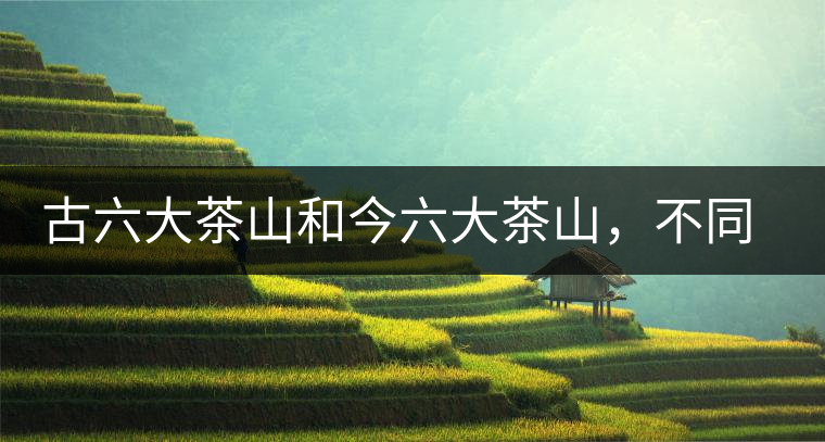 古六大茶山和今六大茶山，不同普洱茶品質(zhì)