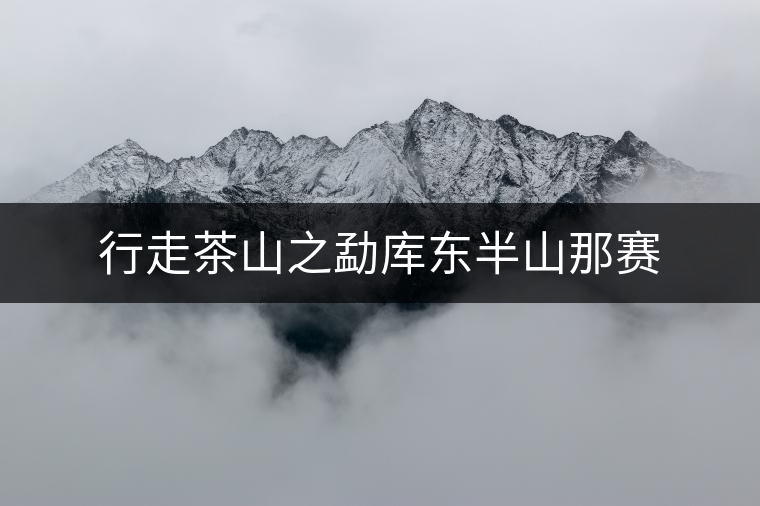 行走茶山之勐庫東半山那賽 行走茶山之勐庫東半山那賽